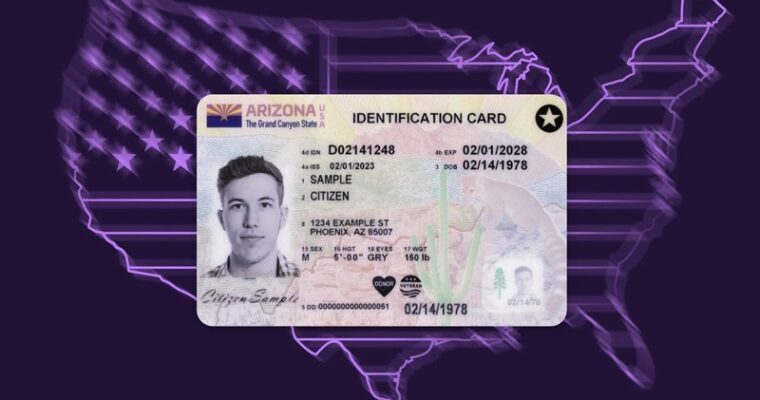 The Basic Principles Of Fake id