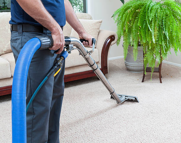 Why Hire a Professional Upholstery Cleaning Service in Largo, FL?