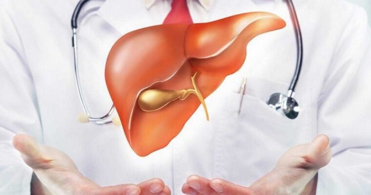 Important Precautions to Take After an Orthotopic Liver Transplant Surgery