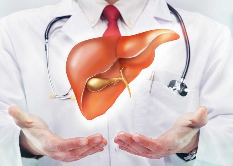Important Precautions to Take After an Orthotopic Liver Transplant Surgery