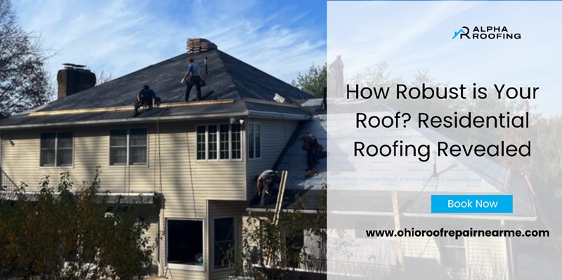 How Robust is Your Roof? Residential Roofing Revealed