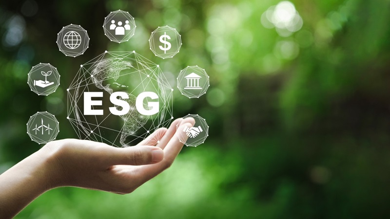 The Importance of ESG Consultancy Services A Comprehensive Guide