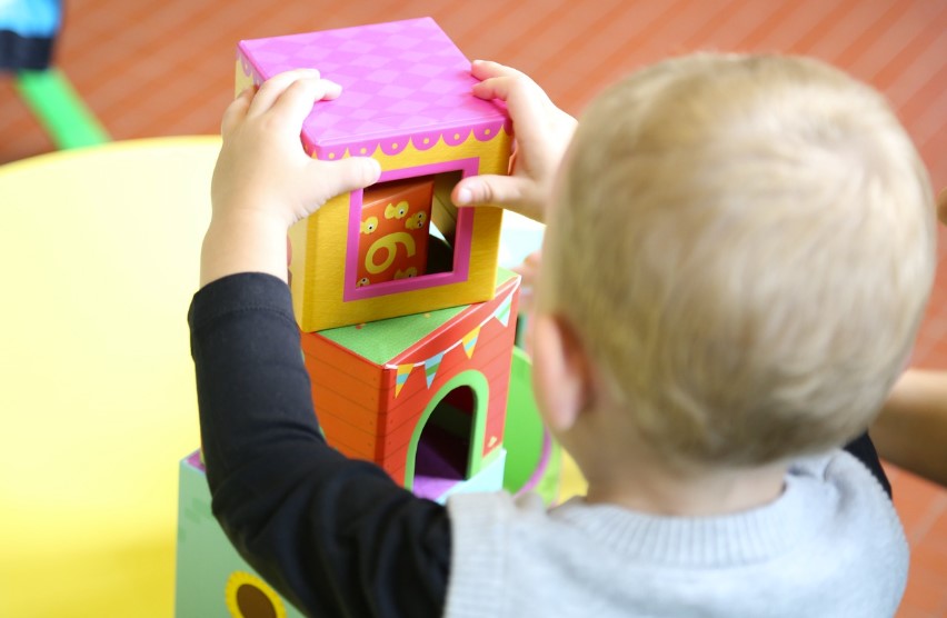 Learning by Playing: The Secret Sauce Behind Smart Kids